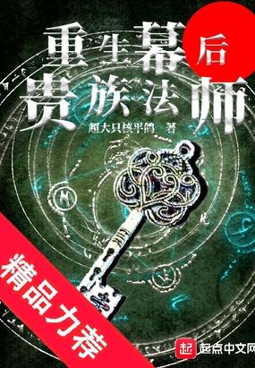 重生幕后贵族法师