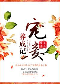 ������ɼ�