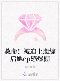 ���������������ۺ���cp�б���